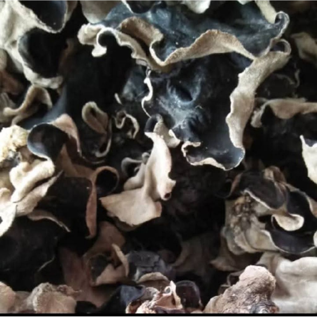 

jamur kuping kering 1kg