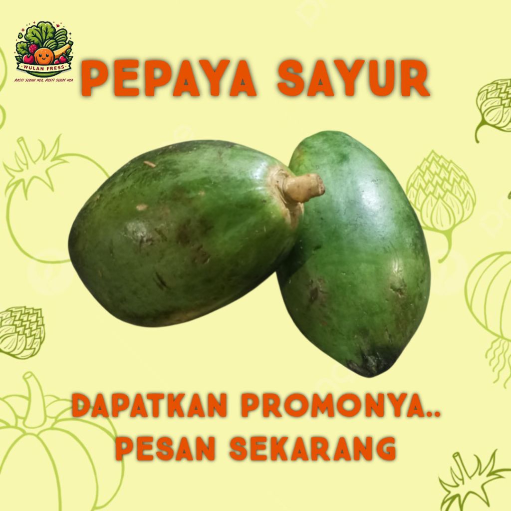 

PEPAYA MUDA SAYUR