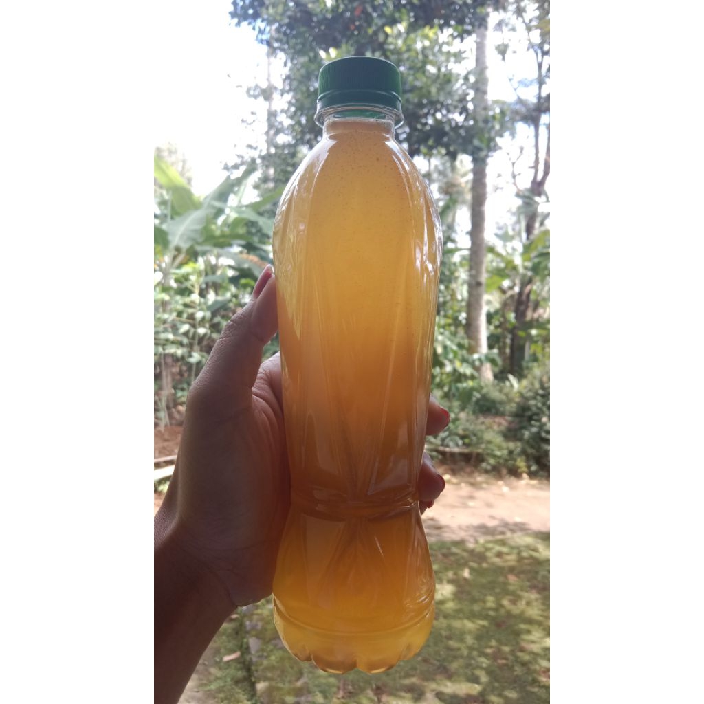 

Madu kuning dan madu hitam