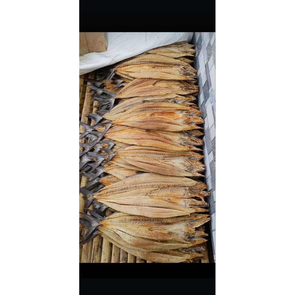 

ikan asin tengiri asli tabanio