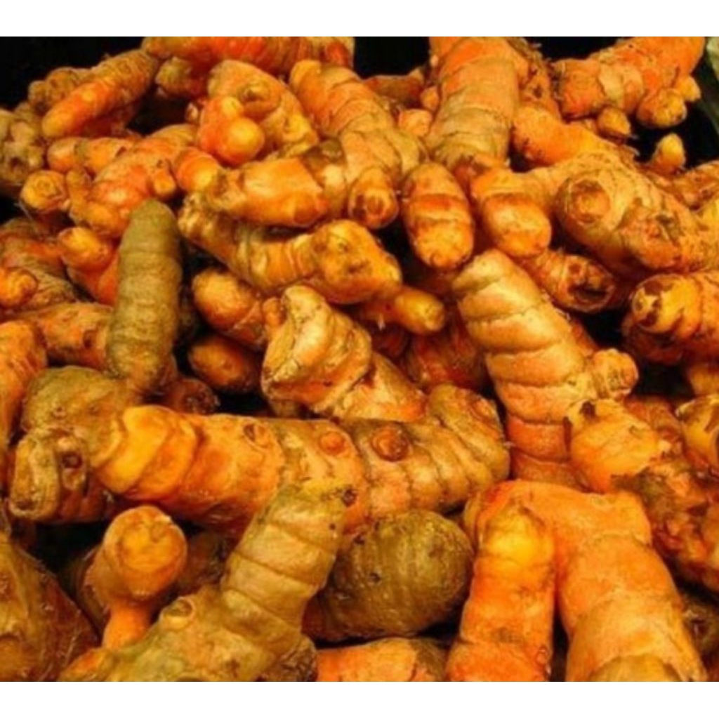 

Jual kunyit hutan atau koneng gede kualitas segar organik 250 g