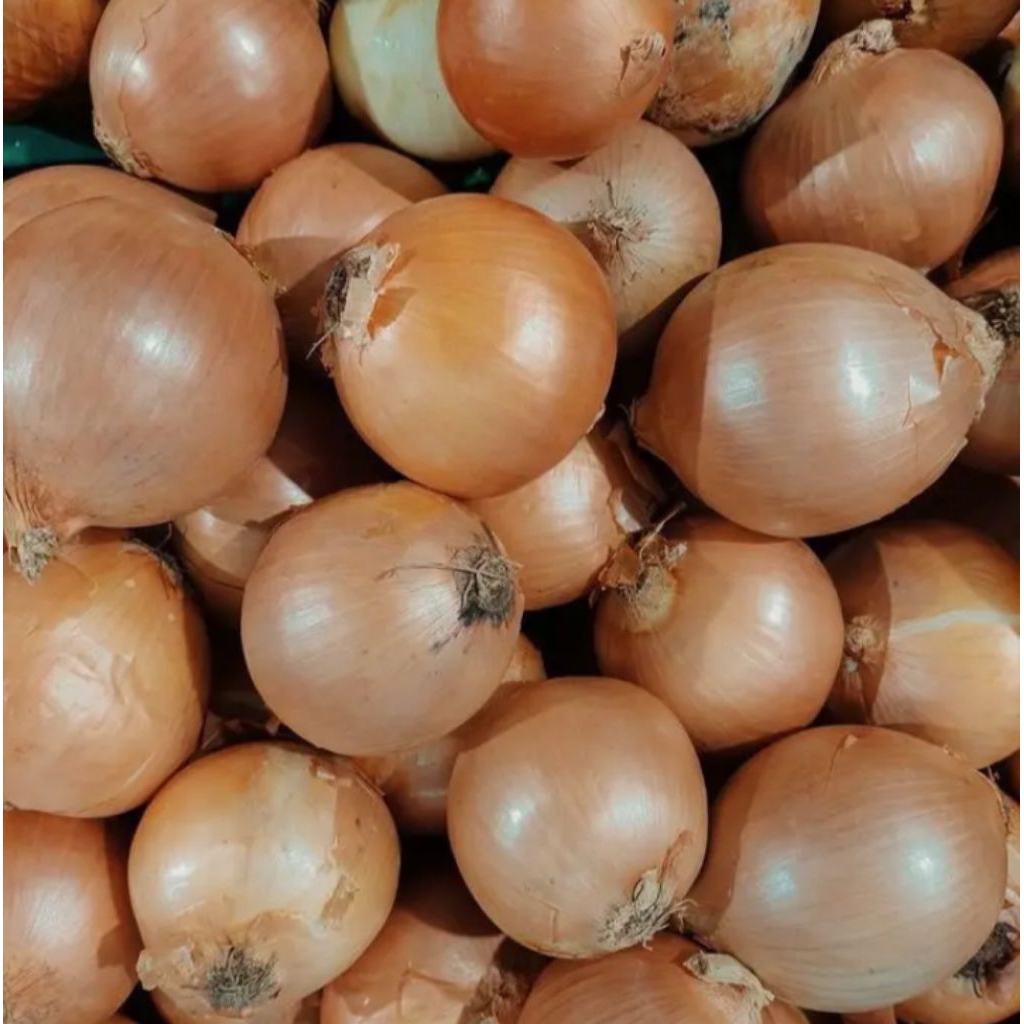 

Bawang Bombai Bombay Segar Fresh Kiloan 1/4 kg 250gr - Aneka Bumbu Dapur