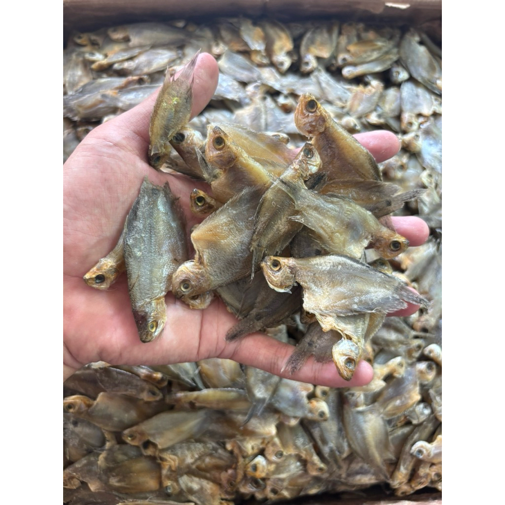 

Ikan Asin Sepat Rawa 250gr