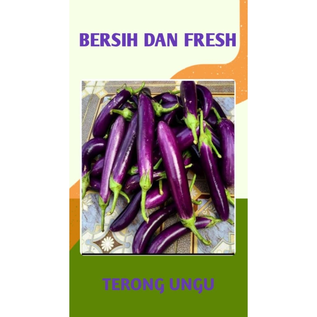 

TERONG UNGU SEGAR - PALEMBANG