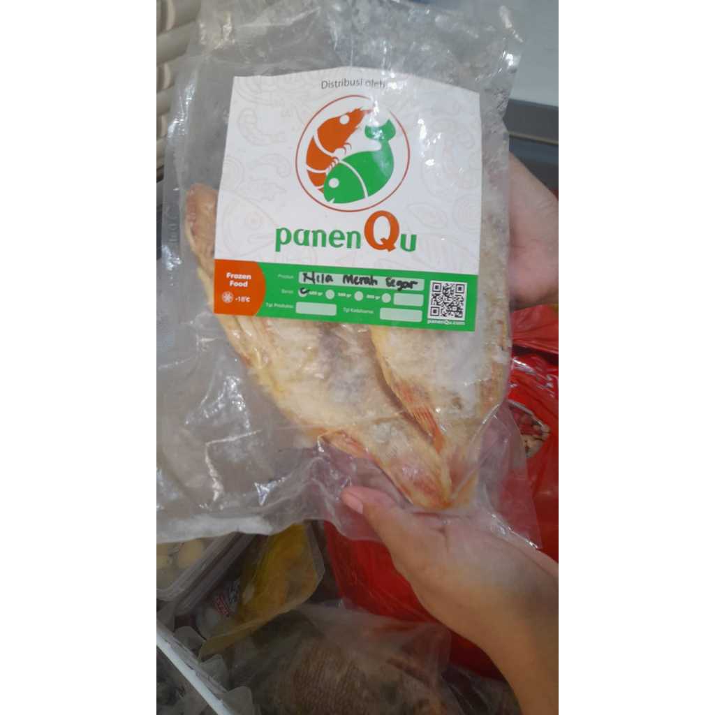 

Ikan Nila Merah Fresh