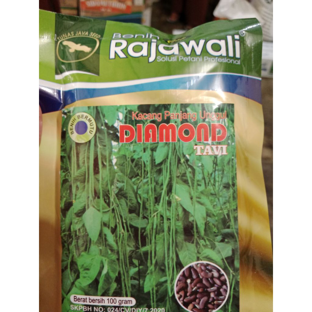 

kacang panjang diamond tavi