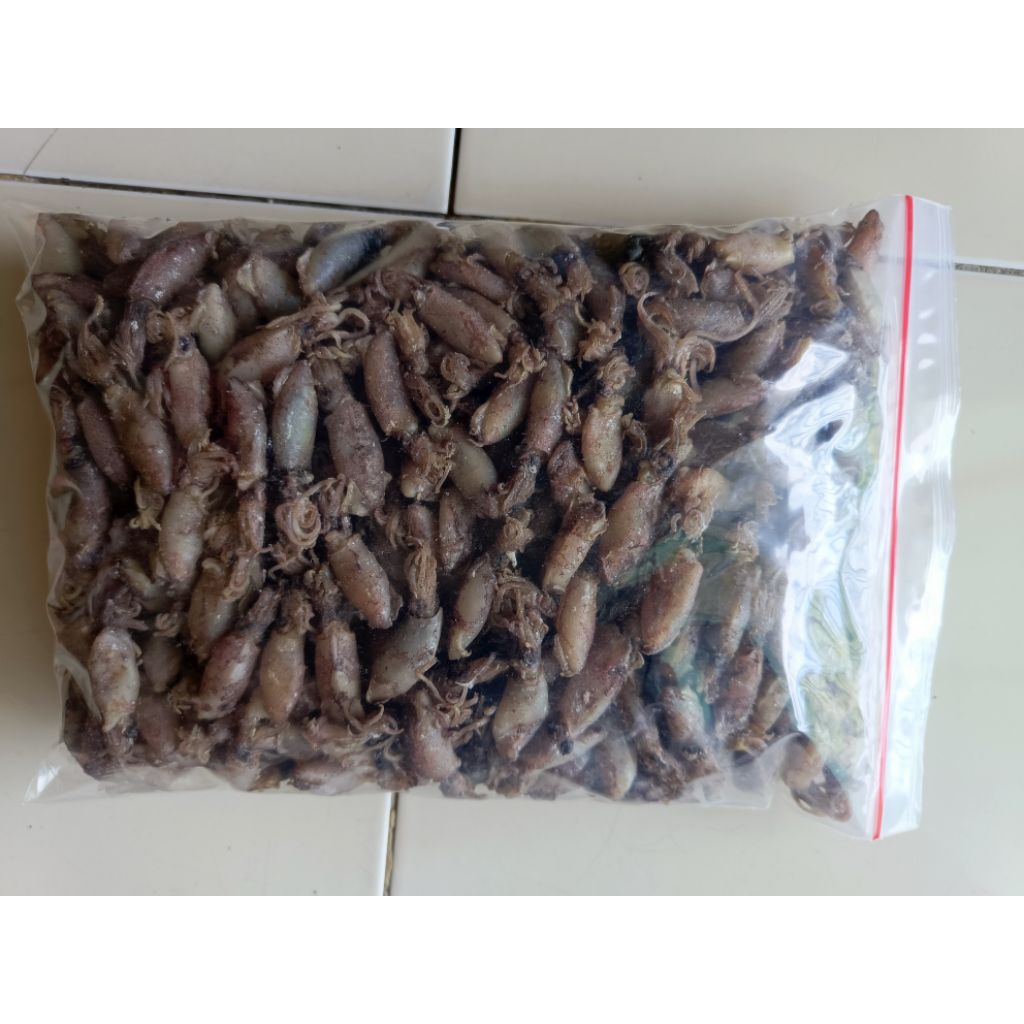 

Cumi Asin Size Remaja