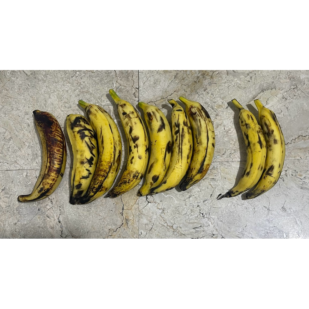 

Buah Segar Pisang Tanduk Organik Manis Jumbo Premium