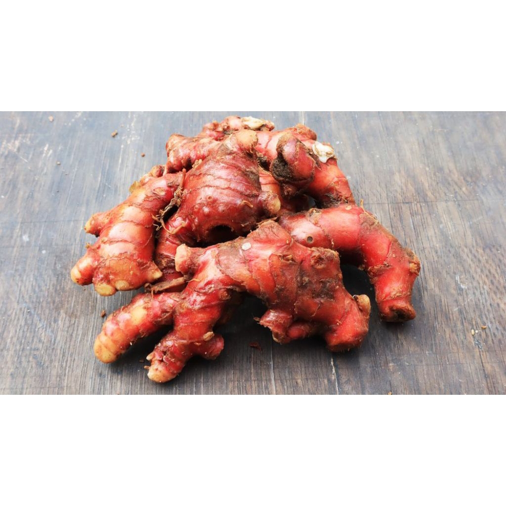 

jahe merah segar per 1kg