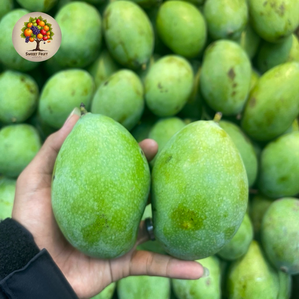 

Mangga Manalagi | Mangga Madu Manalagi Fresh 1kg