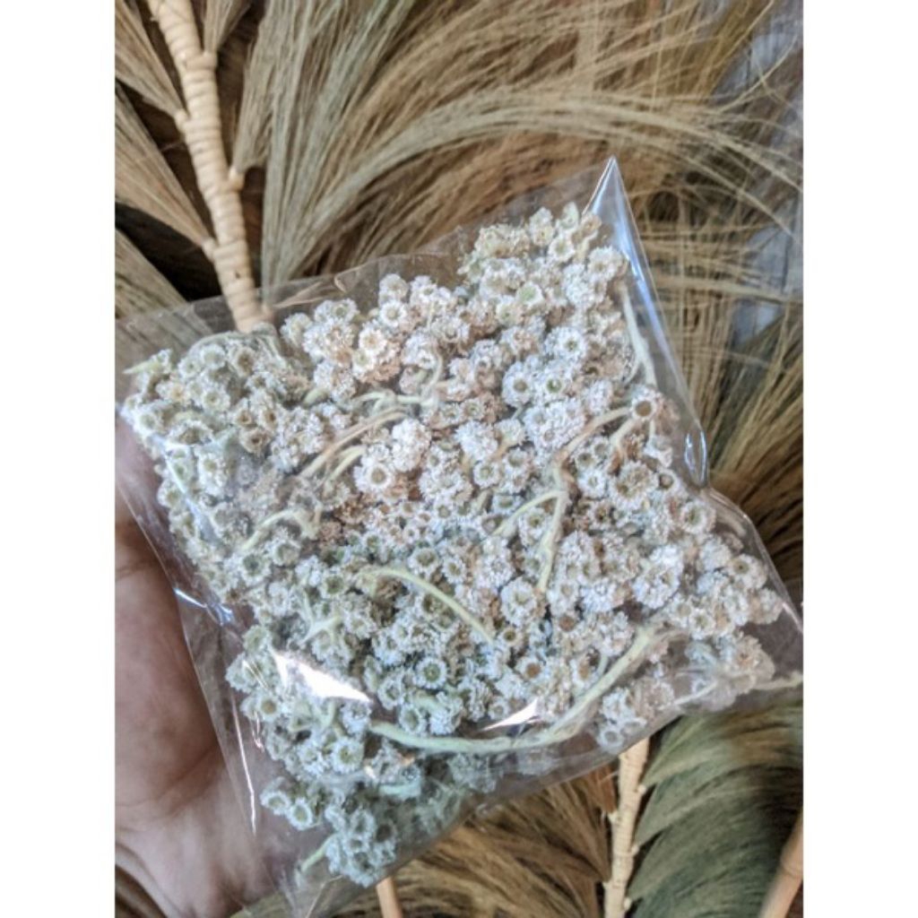 bunga abadi/bunga edelweis grosir promo termurah plastik
