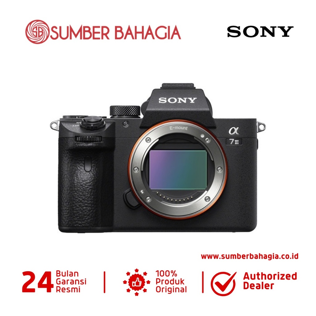 Sony Alpha 7 Mark III Mirrorless Kamera