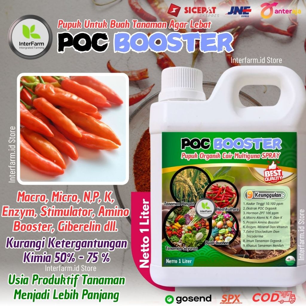 Pupuk pelebat buah cabe rawit, Pupuk penyubur tanaman Cabe Rawit, BOOSTER cabe Rawit INTERFARM