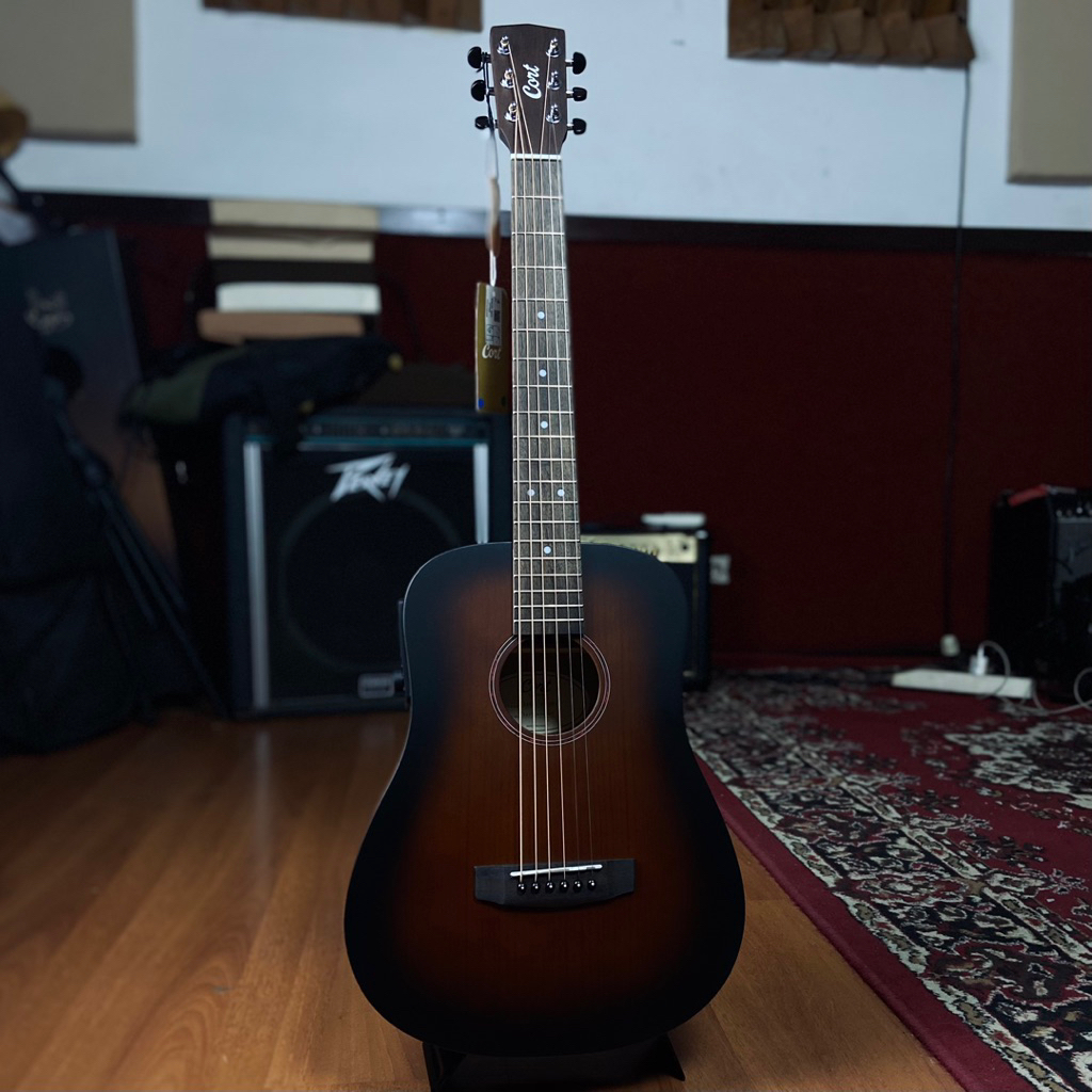 GITAR AKUSTIK CORT EARTH GO