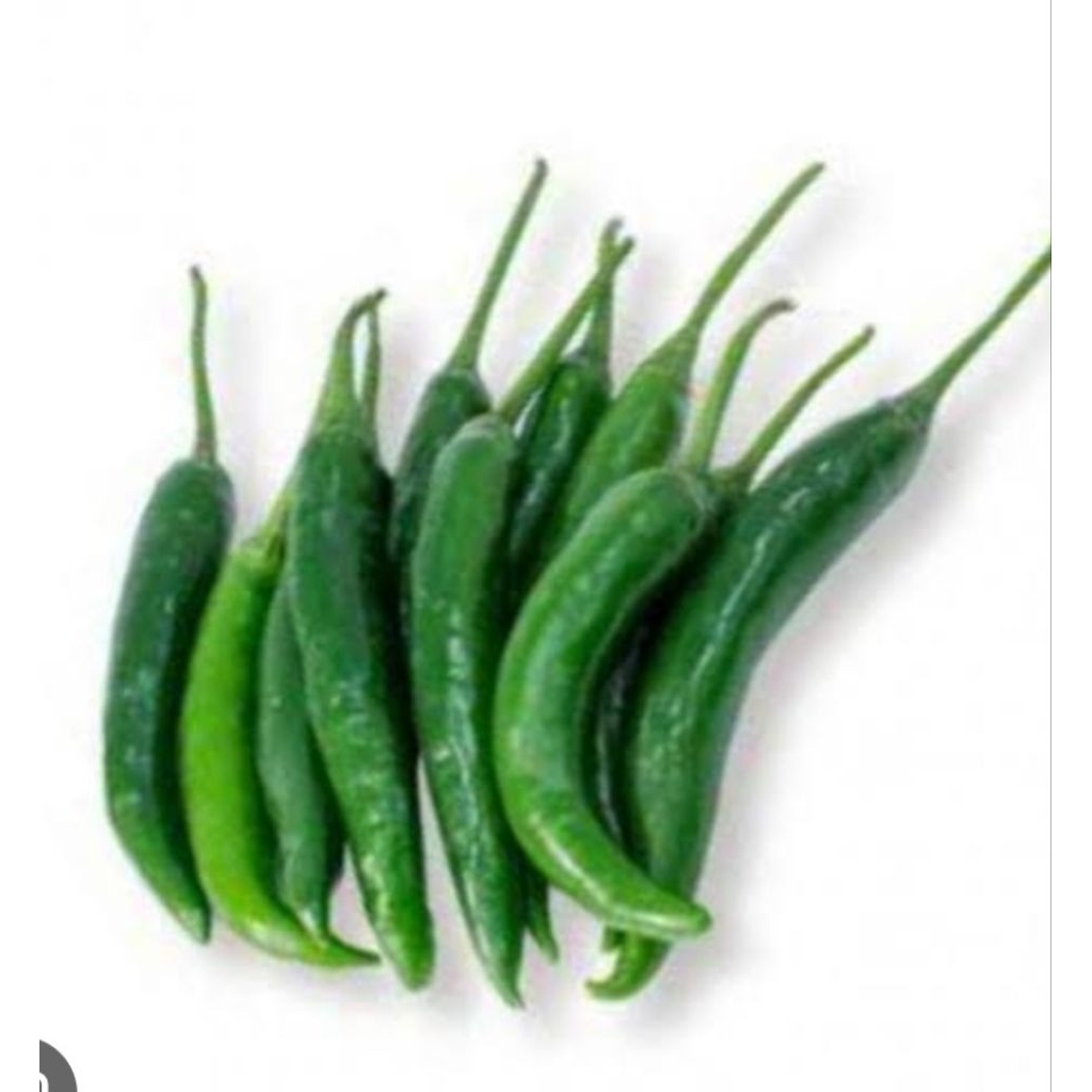 

lombok ijo besar 1 ikat