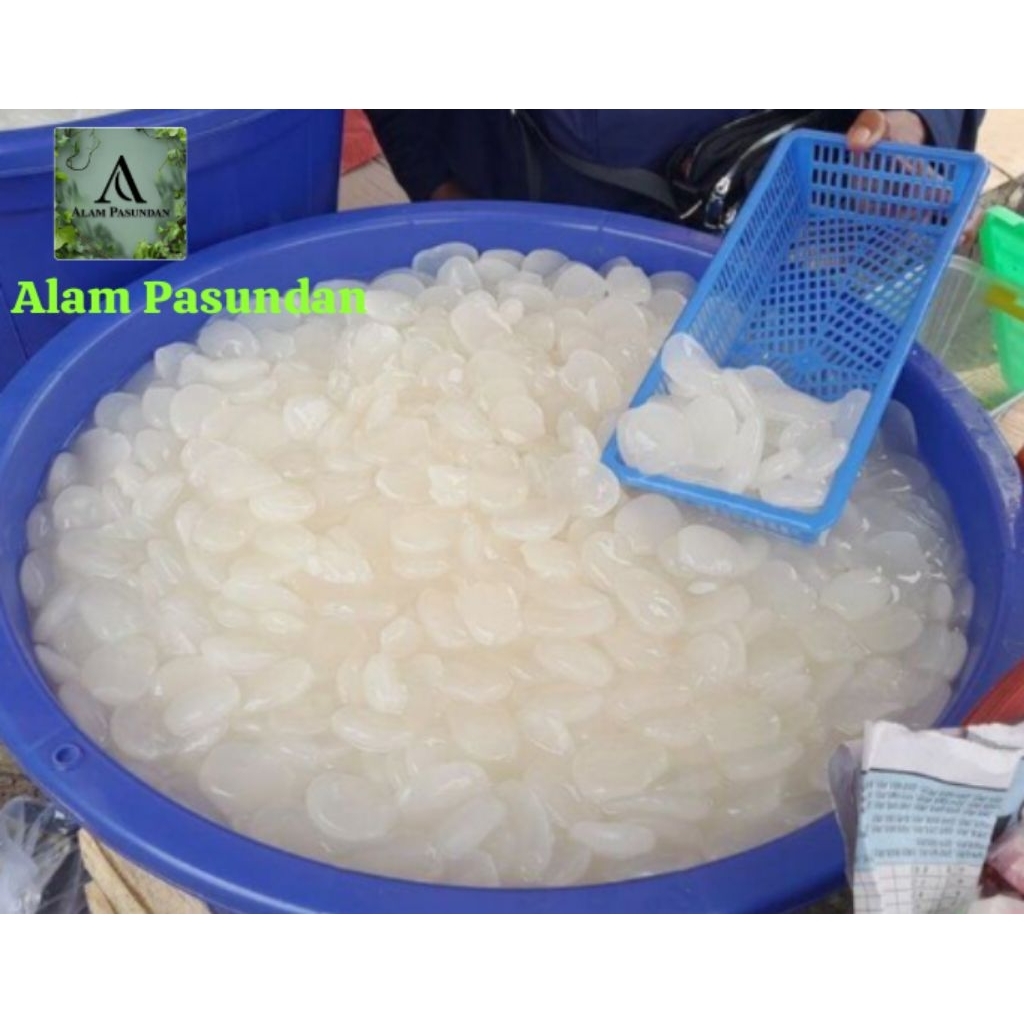 

paket hemat caruluk Fress/cangkaleng/kolangkaling super 250gr