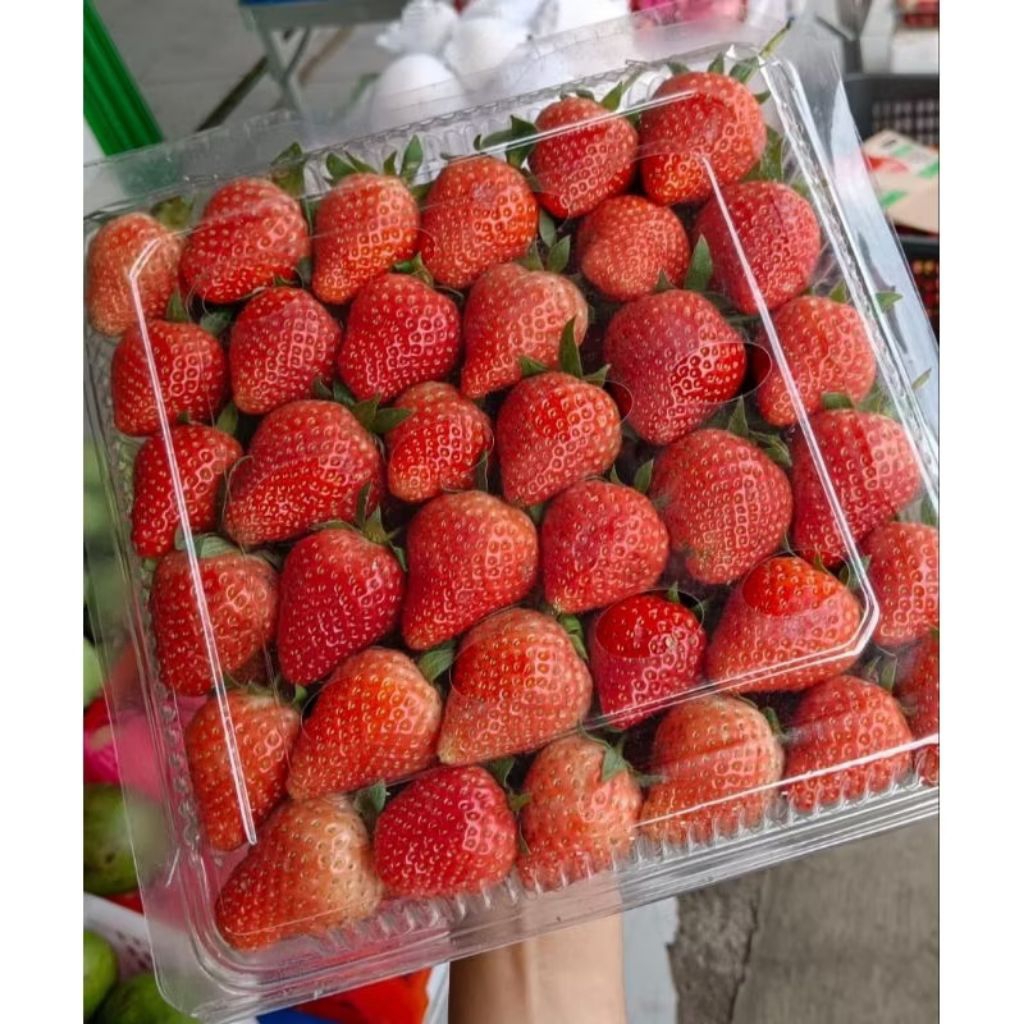 

stroberi grade ab mika besar fresh berat 1kg-+