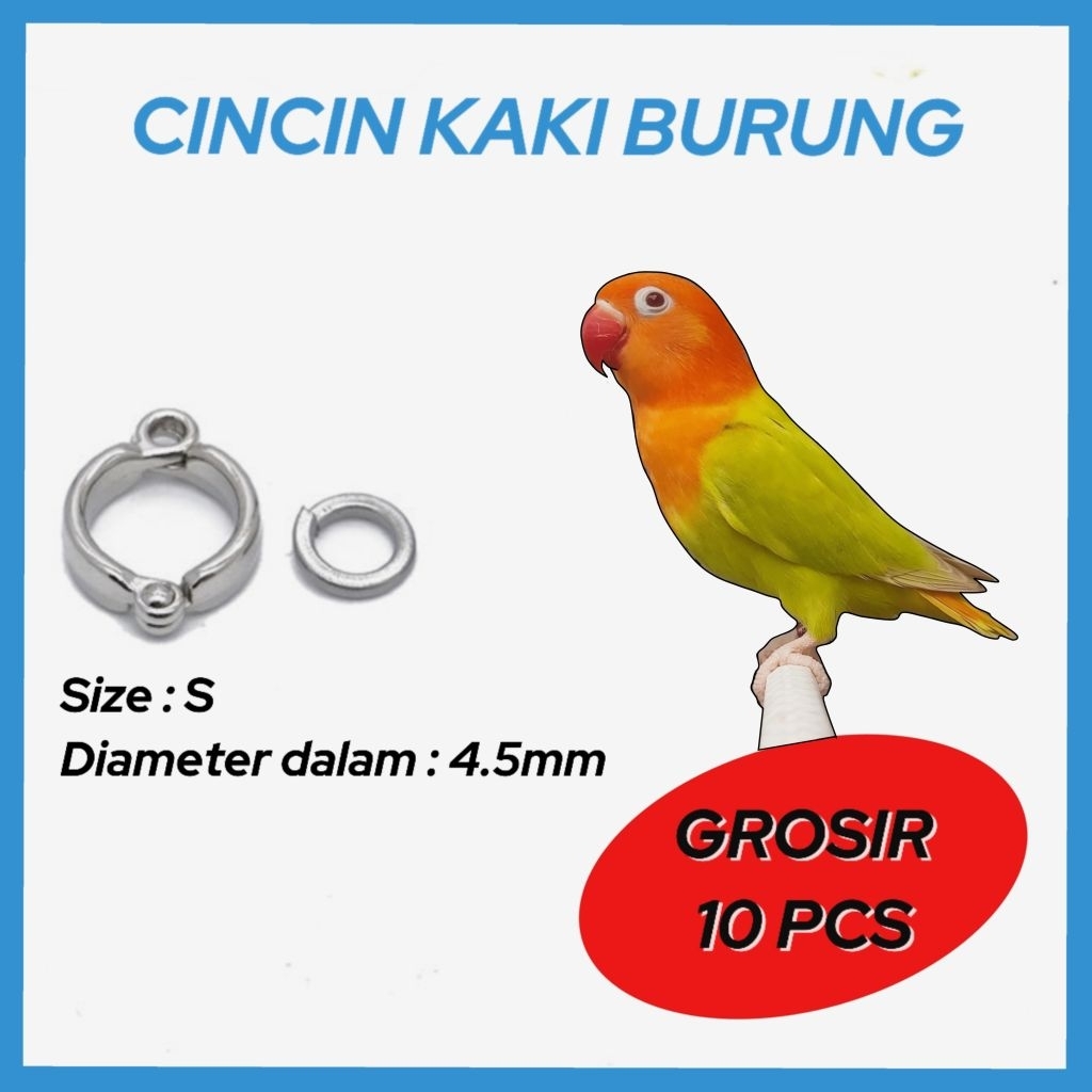 10 PCS RING BORGOL KAKI BURUNG LOVEBIRD (LB) & NURI PERKICI