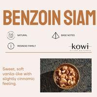 BENZOIN SIAM RESINOID