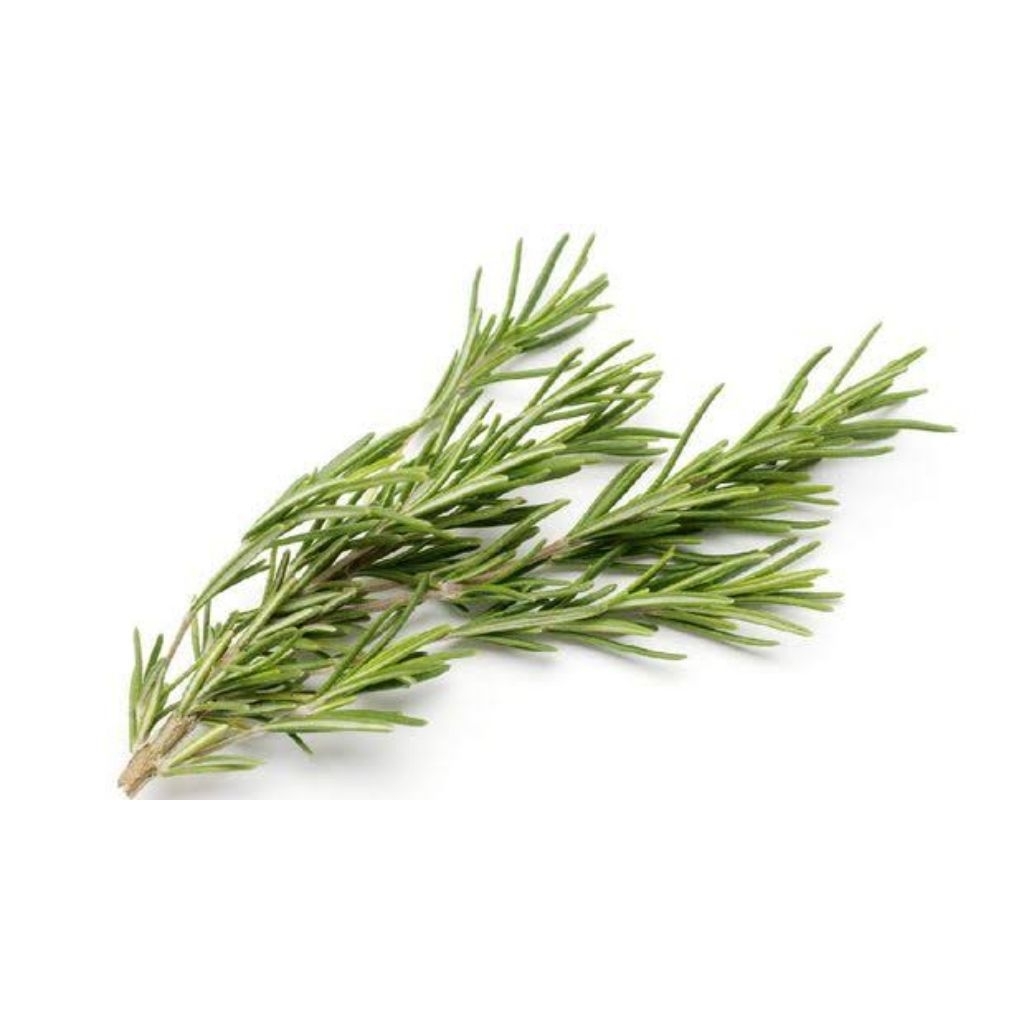 

Daun Rosemary 50gr