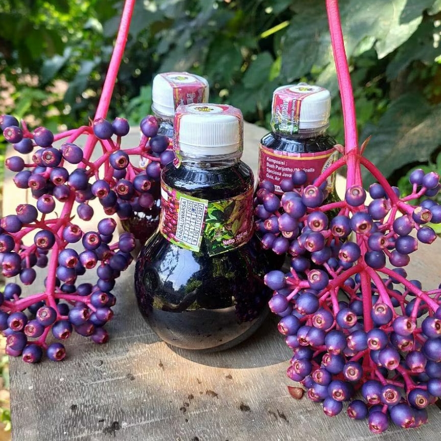 

sirup parijoto asli muria kudus untuk promil dan kesehatan, mengandung antioksidan tinggi,