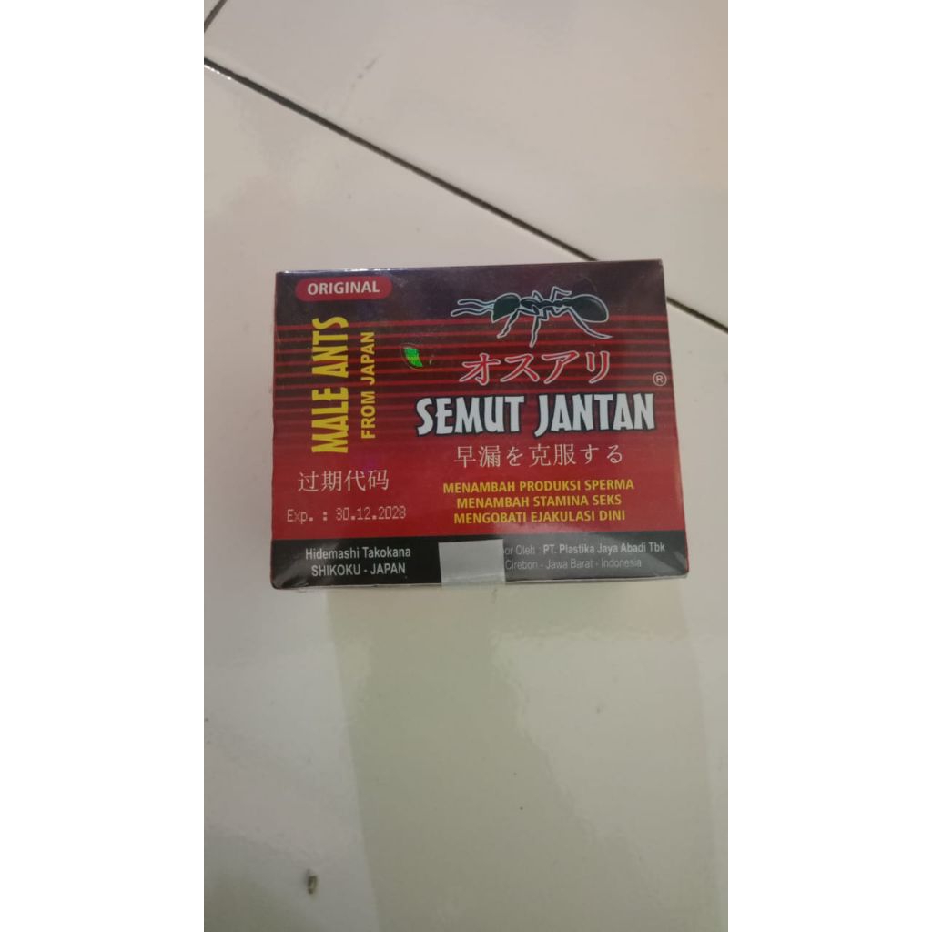 semut jantan