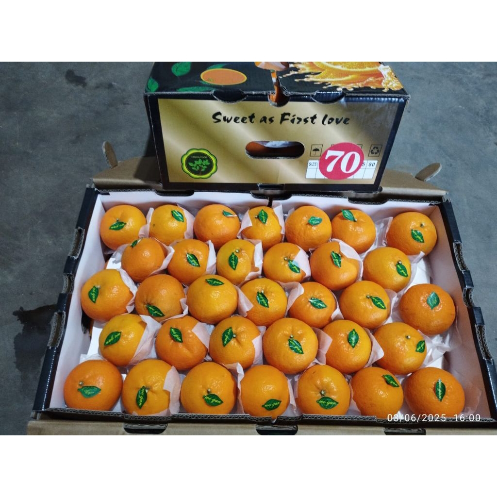 

Jeruk Wogan Sweet & Juicy /kg