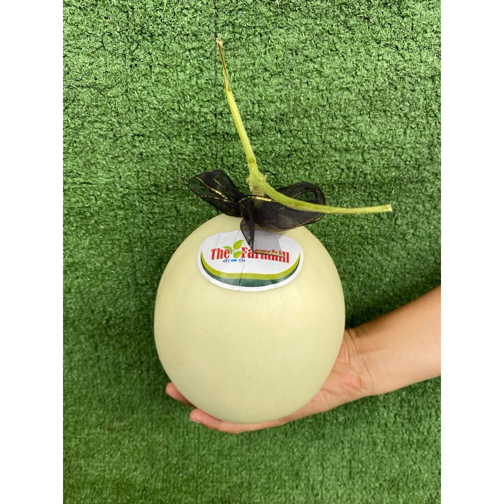 

Melon Aruni 1 Buah
