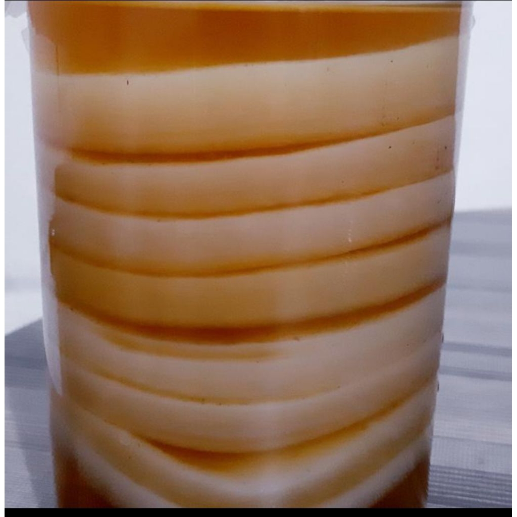 

scoby kombucha pembelian 20pcs/disertai strater tiap pcs/disertai petunjuk pembuatan.
