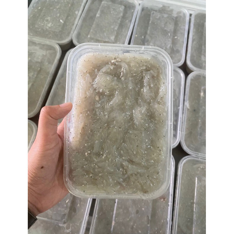 

Teri Nasi Basah frozen food Murah