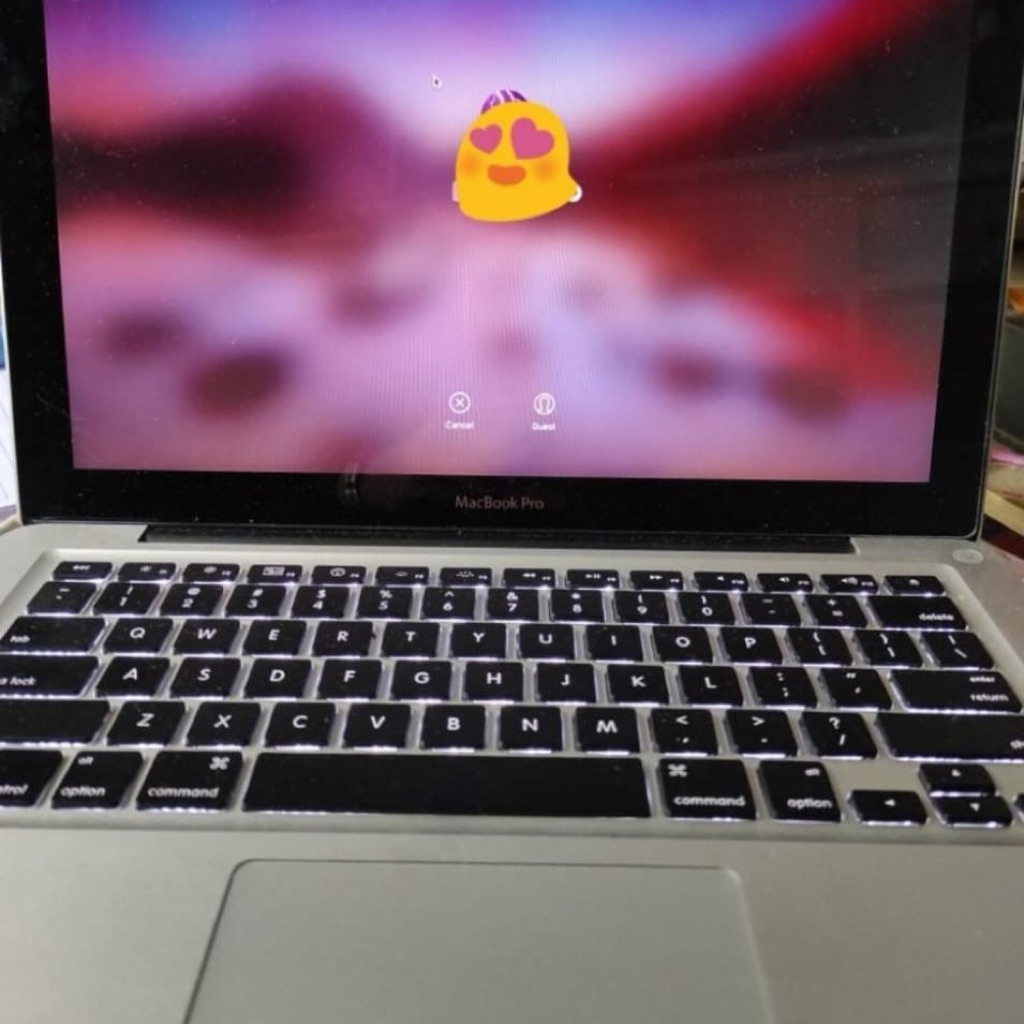 MacBook Pro 8,1 (13-inch Early 2011)
