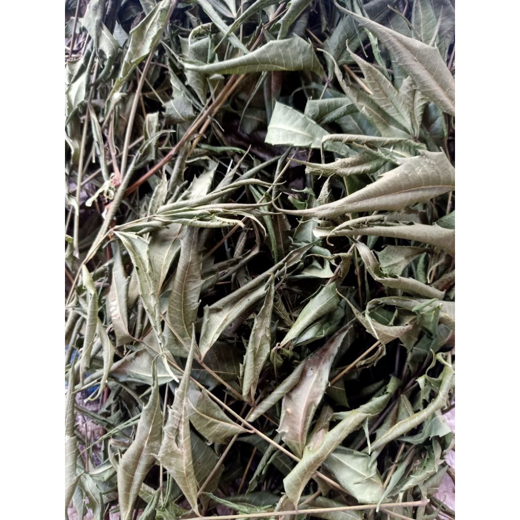 

Daun Mimba Kering 50 gram