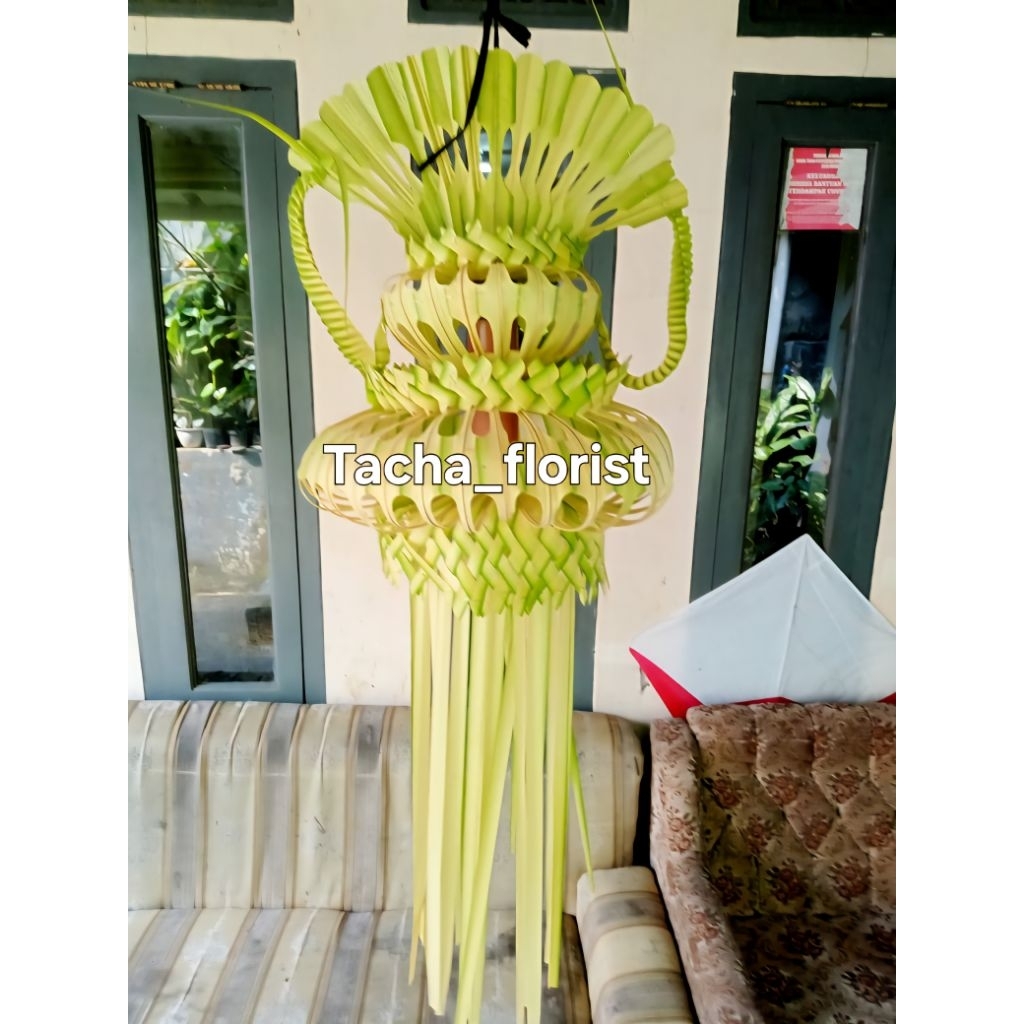 

janur kuning segar