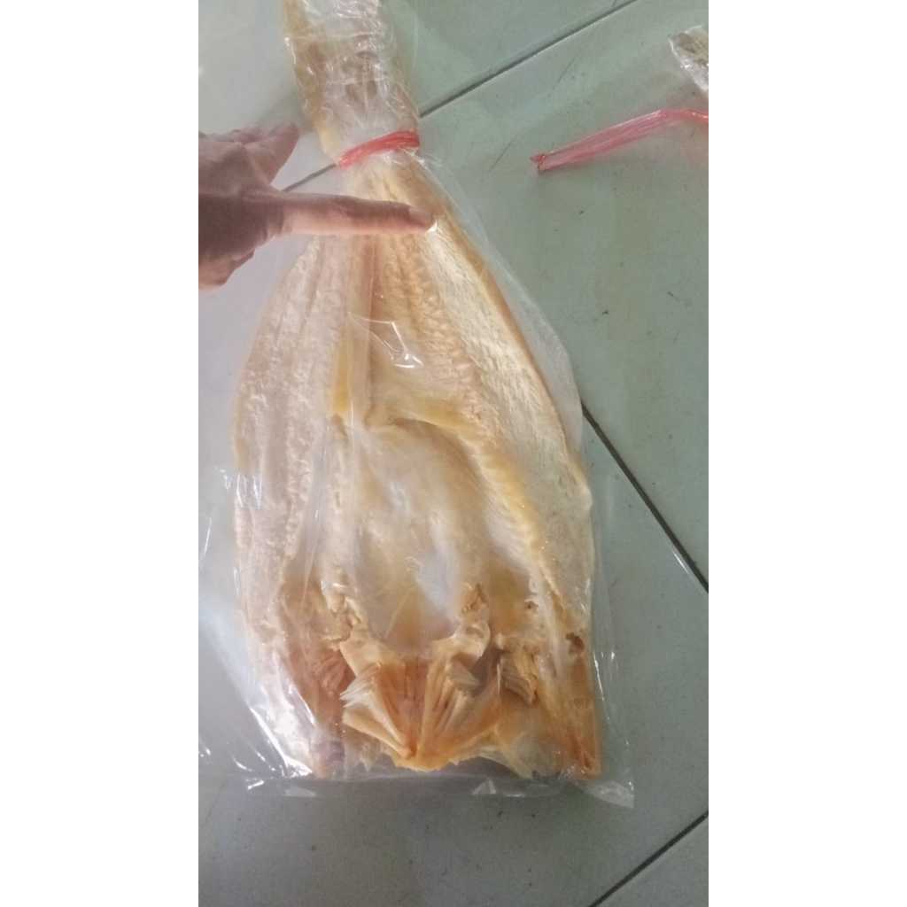 

Ikan asin jambal roti kepala