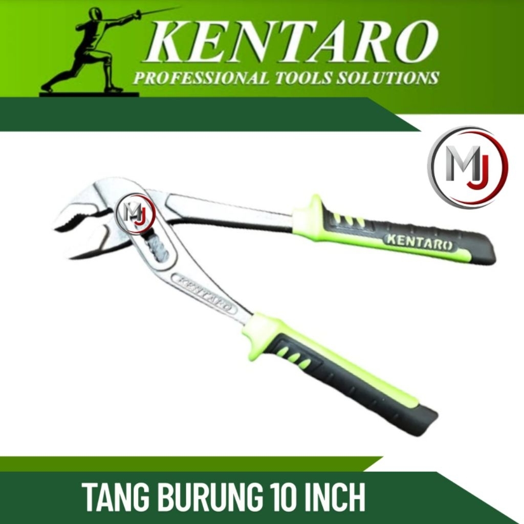Kentaro Tang Burung 10 Inch