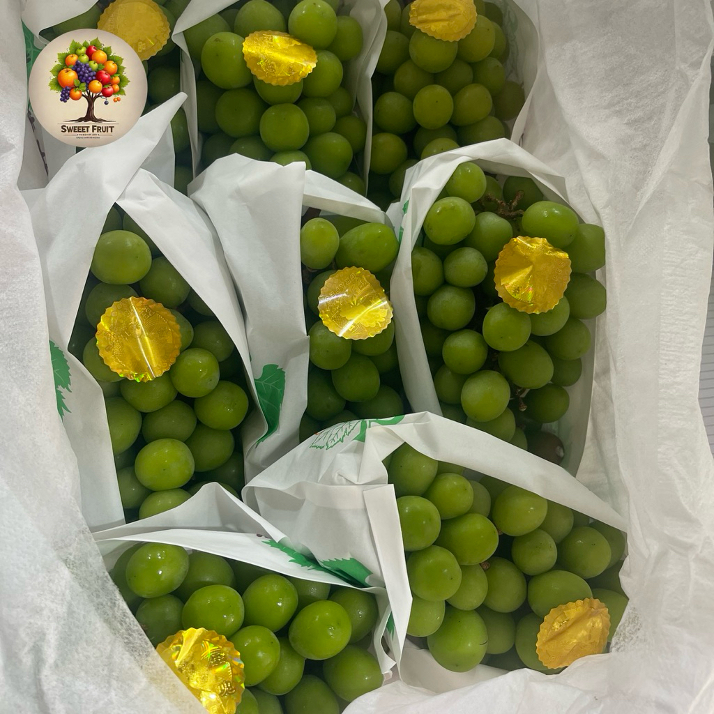 

Anggur Shine Muscat | Anggur Green Muscat | 5kg/Box