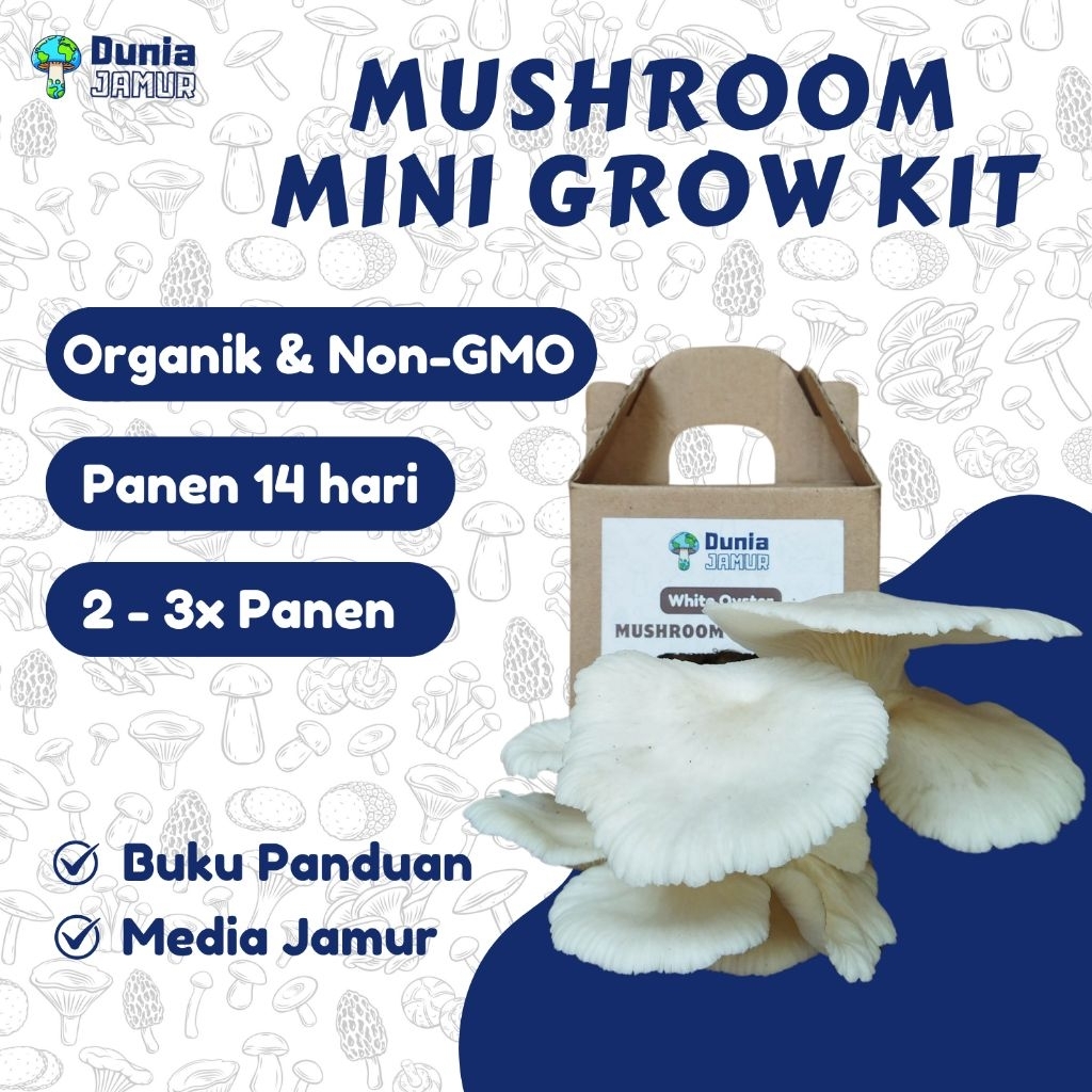 Paket Edukasi Belajar Gardening Bibit Jamur Tiram Organik Mushroom Mini Grow Kit