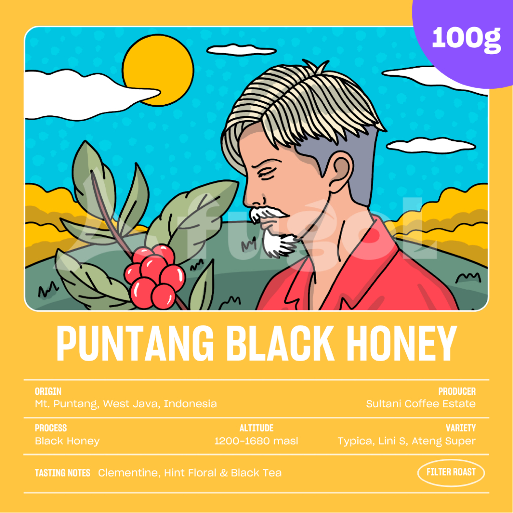 

Kopi Arabika PUNTANG BLACK HONEY (100 gr) Single Origin Specialty Coffee Arabica