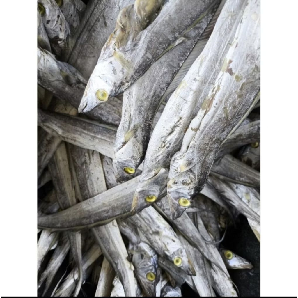 

Ikan kering Layur asin 500-1000gr