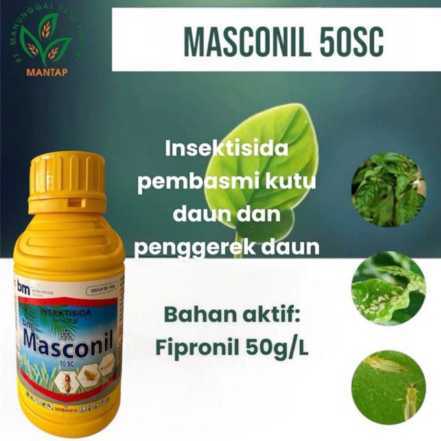BM Masconil 50 SC 500 ML