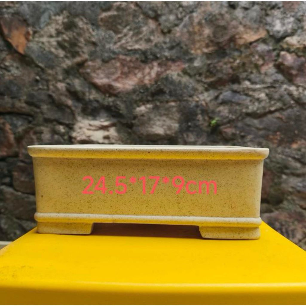 Authentic Yixing Zisha snowflakes Premium Bonsai Pot