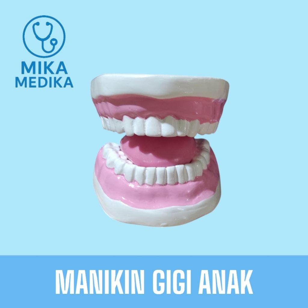 Phantom Manikin Gigi Anak / Phantom Manekin Gigi Anak / Alat Peraga Gigi Anak