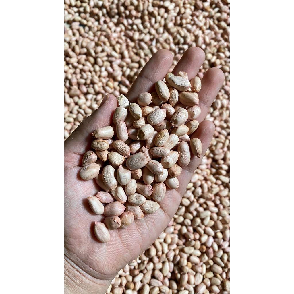 

Kacang Kupas Mentah Fresh 250gram