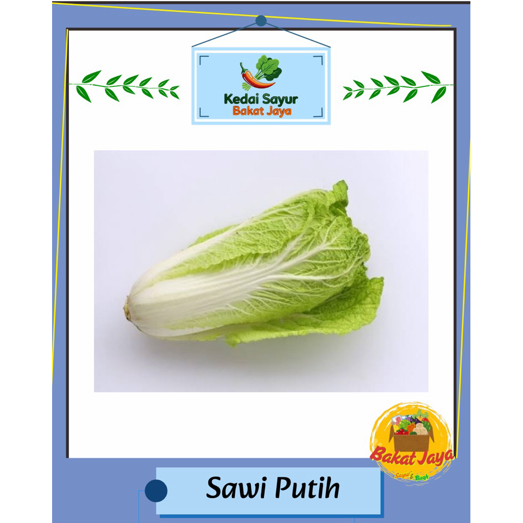 

Sawi Putih