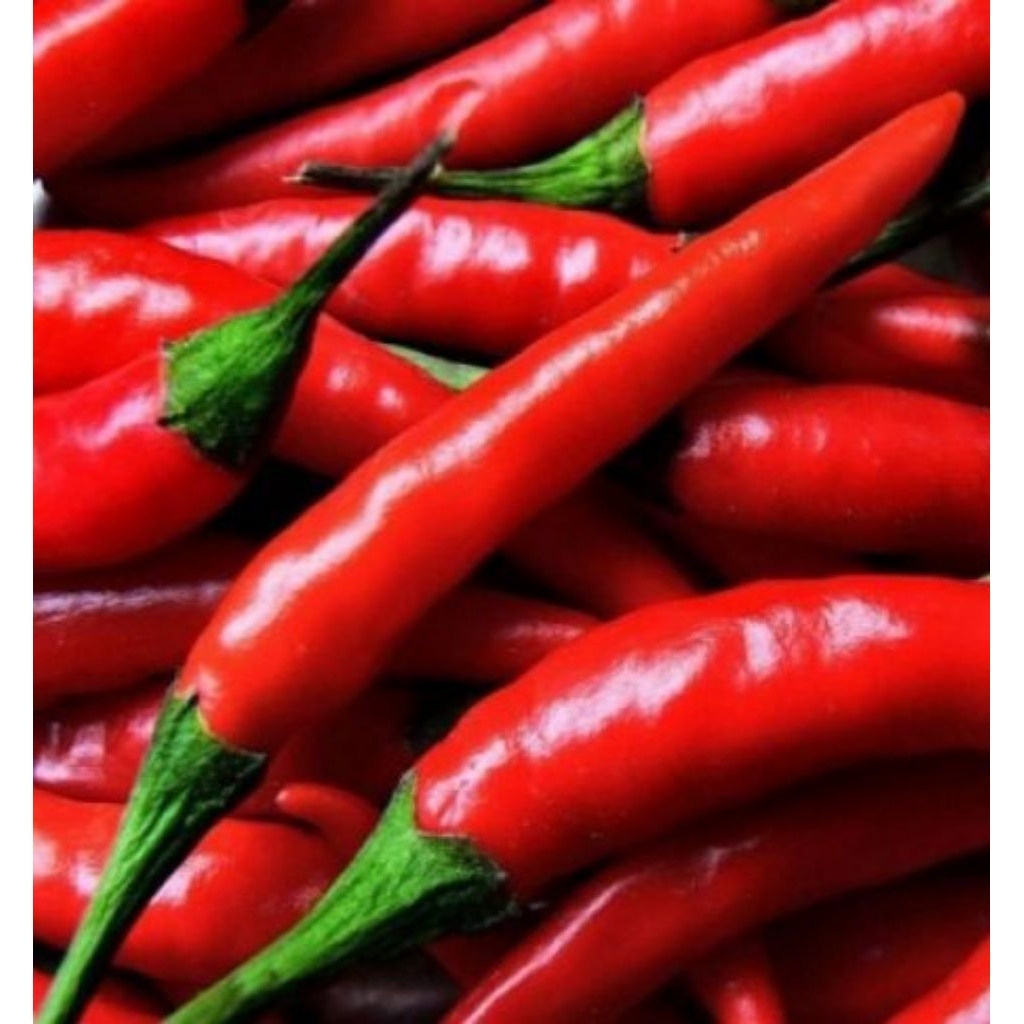 

Cabe Merah Besar TW 1kg