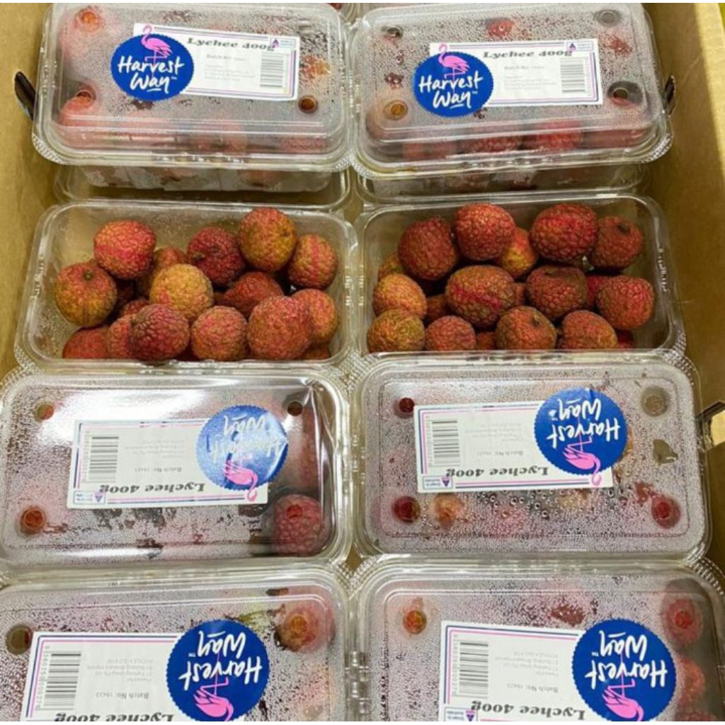 

LycheeRed Austtralia Fresh Import / buah leci merah 500 gr / pack