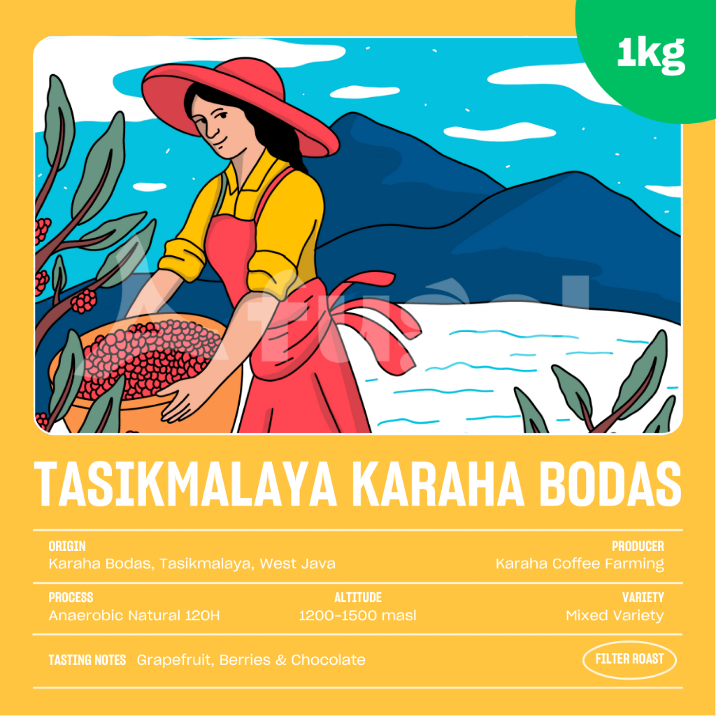

Biji Kopi Arabika Tasikmalaya Karaha Bodas Anaerobic Natural (1 KG) Specialty Coffee