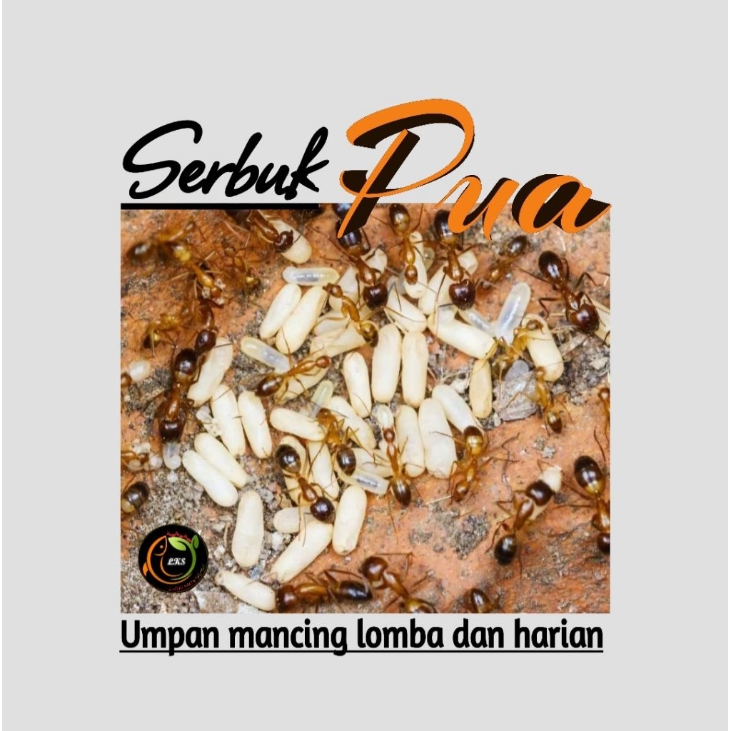 [ ORIGINAL SERBUK PUA HARGA GROSIR ] UMPAN MANCING