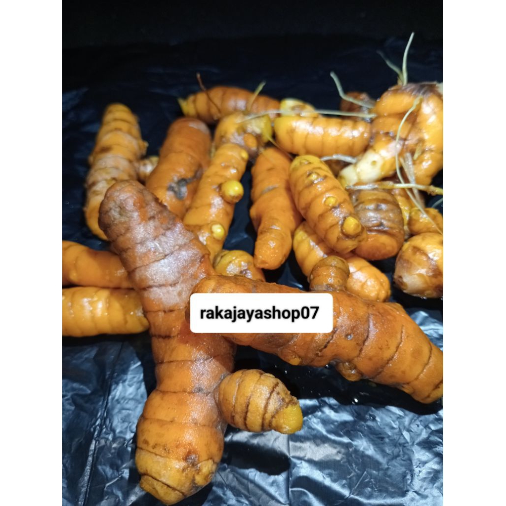 

Kunyit rempah bumbu masakan/koneng 1 kg