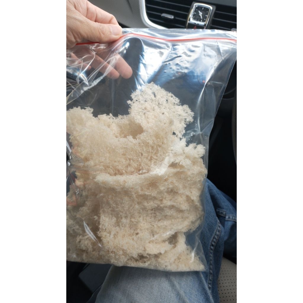 

Sarang Burung Walet Hancuran YenPing Asli Aceh/Sumatera 100 gr